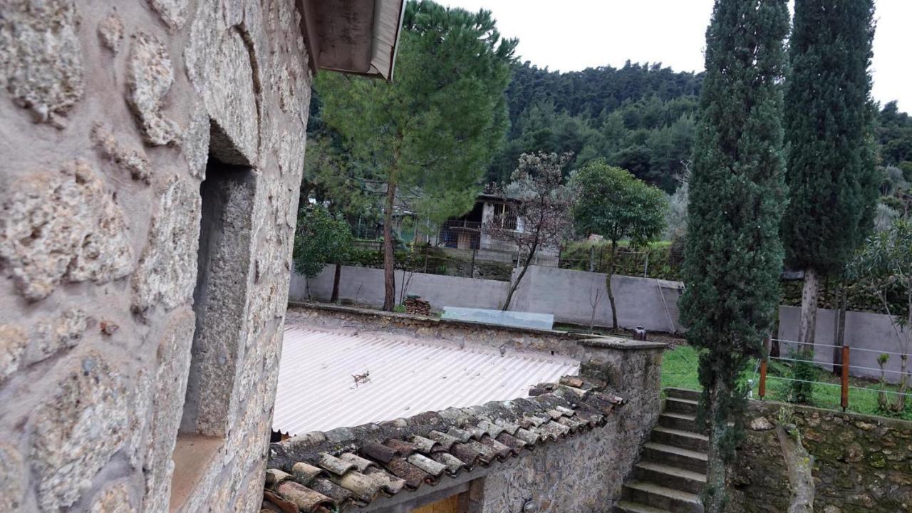 Aegae The Old Olive Mill Houseヴィラ エクステリア 写真