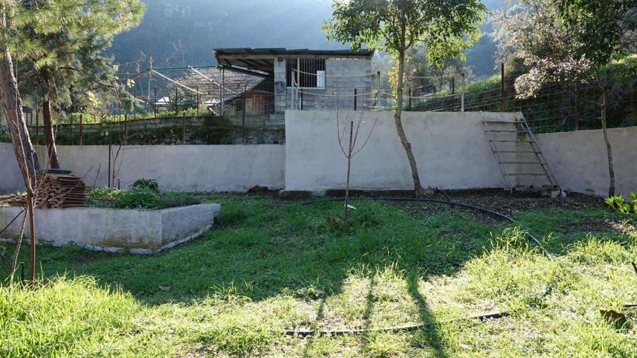 Aegae The Old Olive Mill Houseヴィラ エクステリア 写真